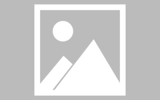 滨州新区景区网站建设（in art criticism,you must assume）